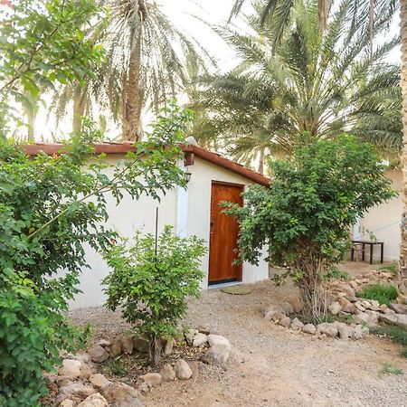 Hotel Dar Barka Kebili Exteriér fotografie