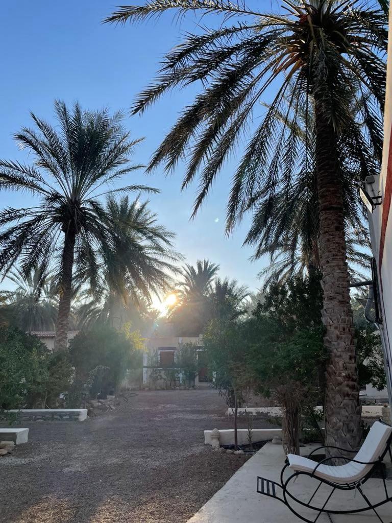 Hotel Dar Barka Kebili Exteriér fotografie