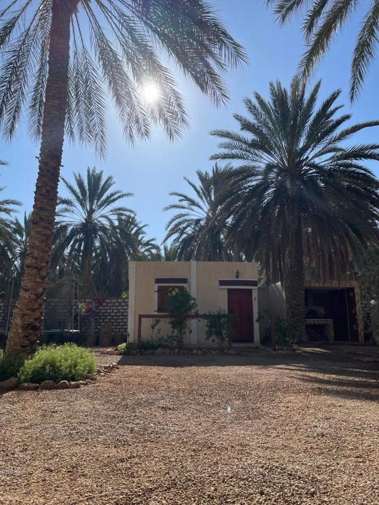 Hotel Dar Barka Kebili Exteriér fotografie
