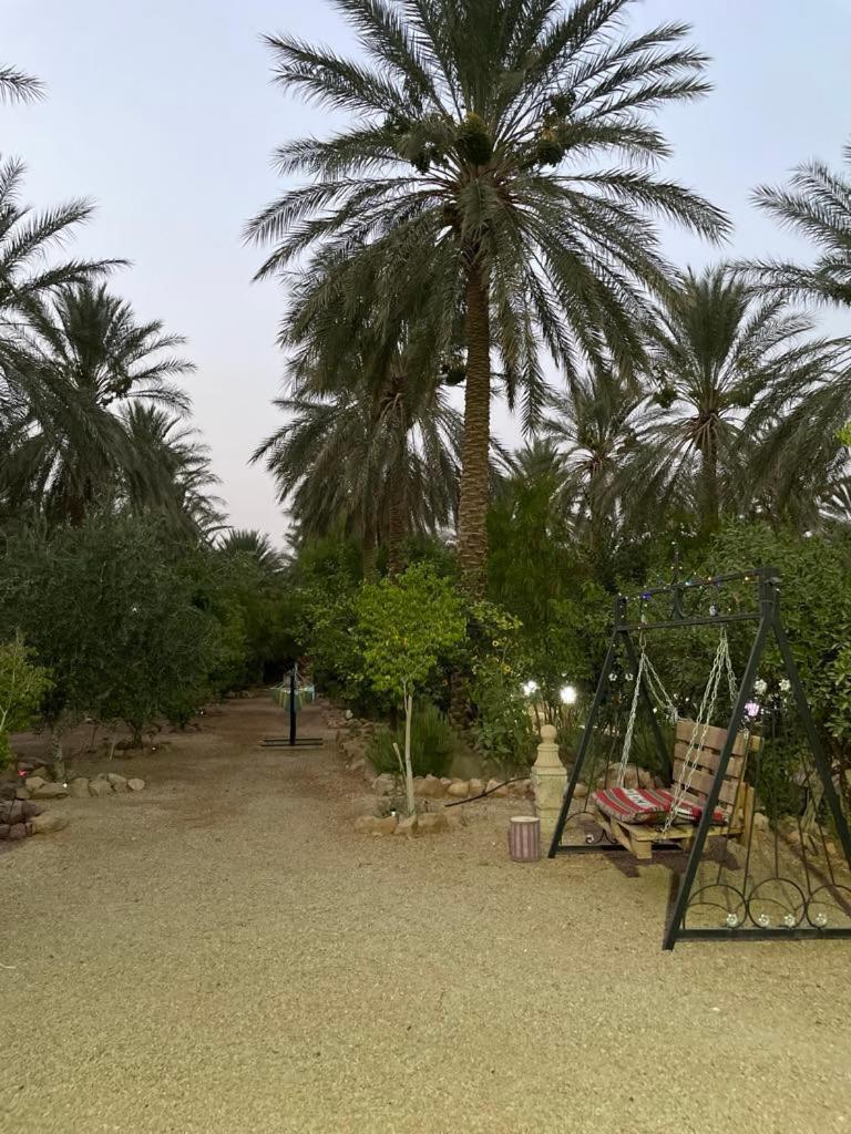 Hotel Dar Barka Kebili Exteriér fotografie
