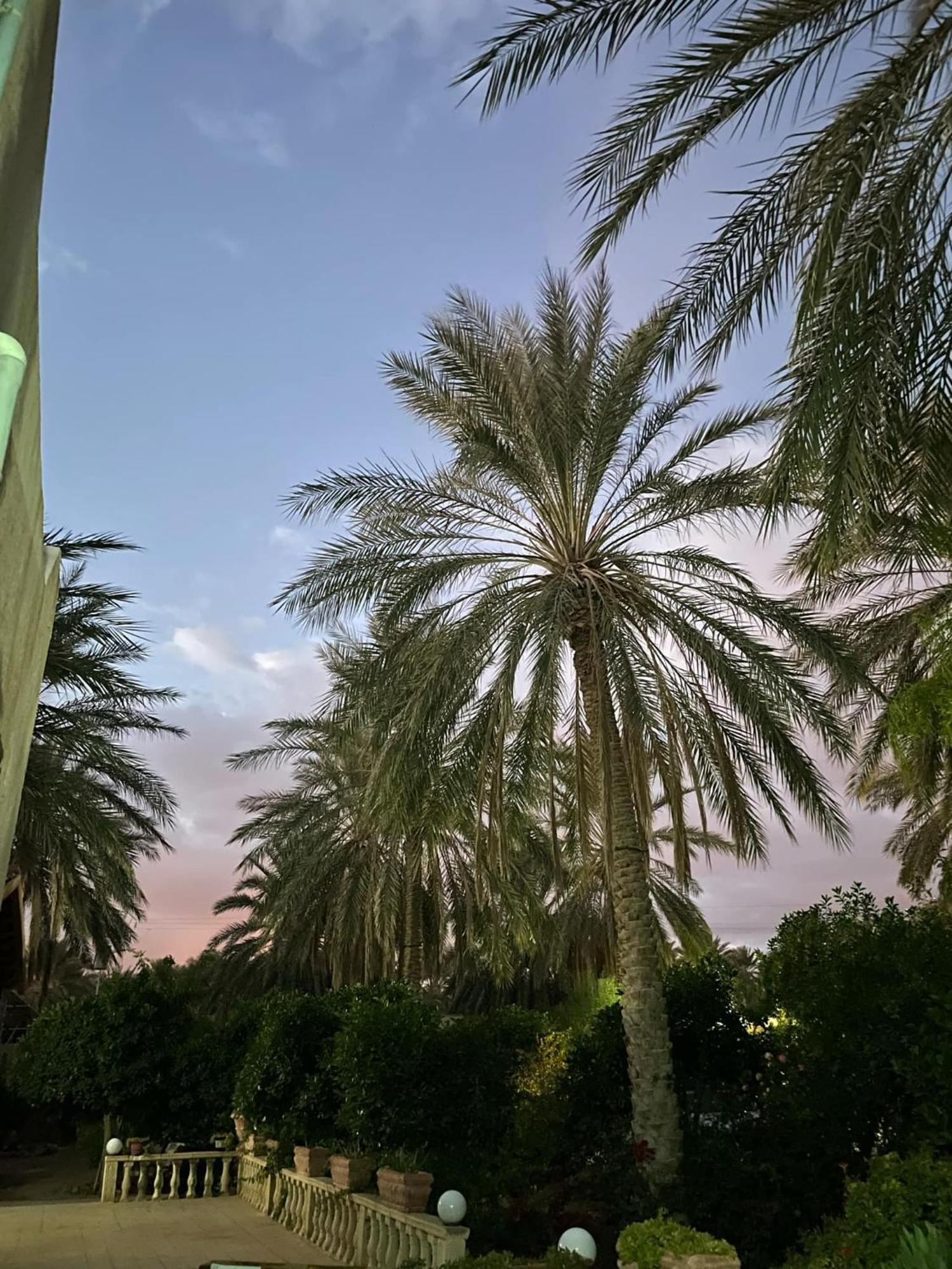 Hotel Dar Barka Kebili Exteriér fotografie