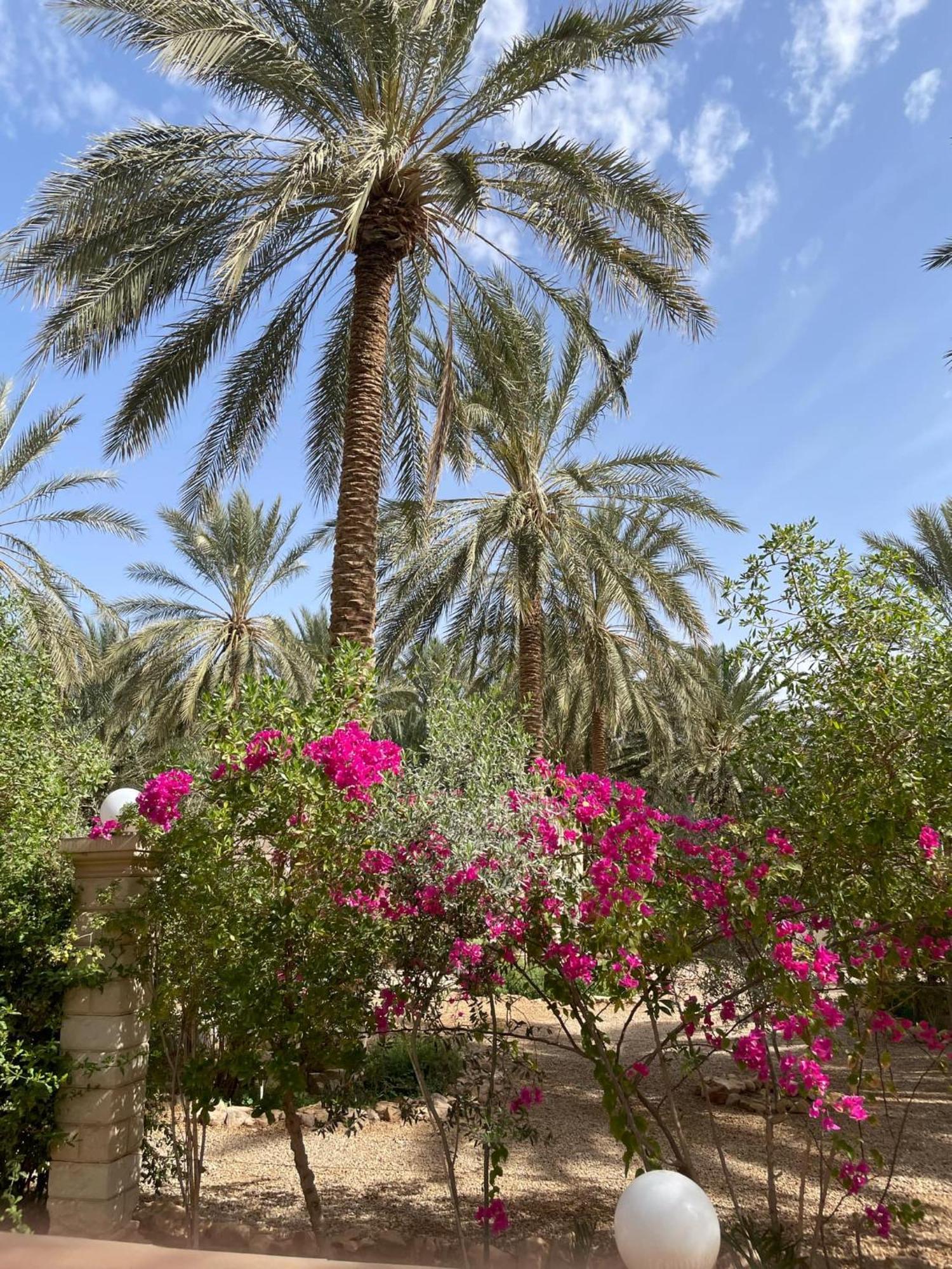 Hotel Dar Barka Kebili Exteriér fotografie
